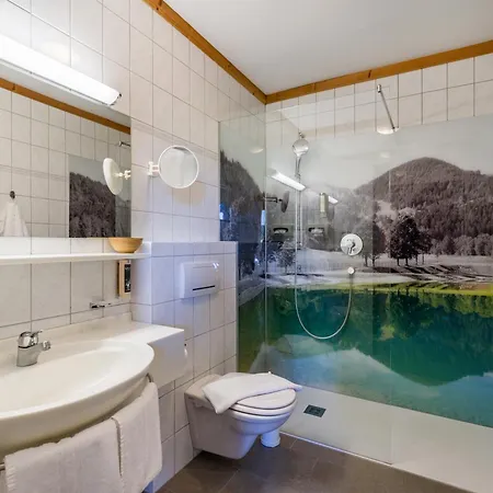 Alpenpanorama Hotell 4*